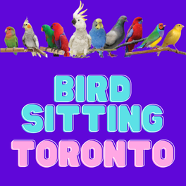 Bird Sitting Toronto logo